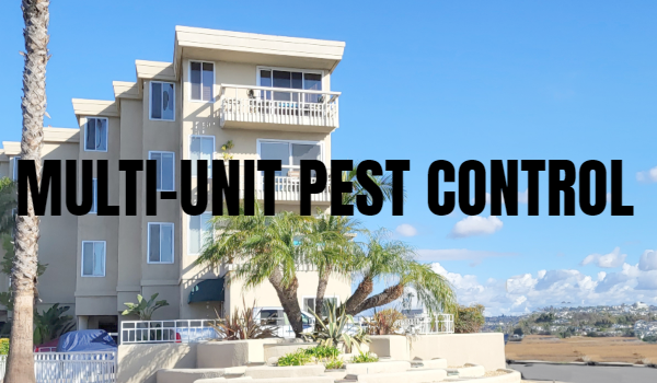 Commercial Pest Control Commercial Pest Control