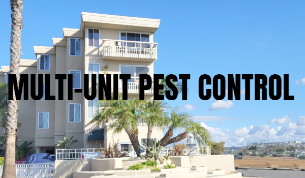 Commercial Pest Control