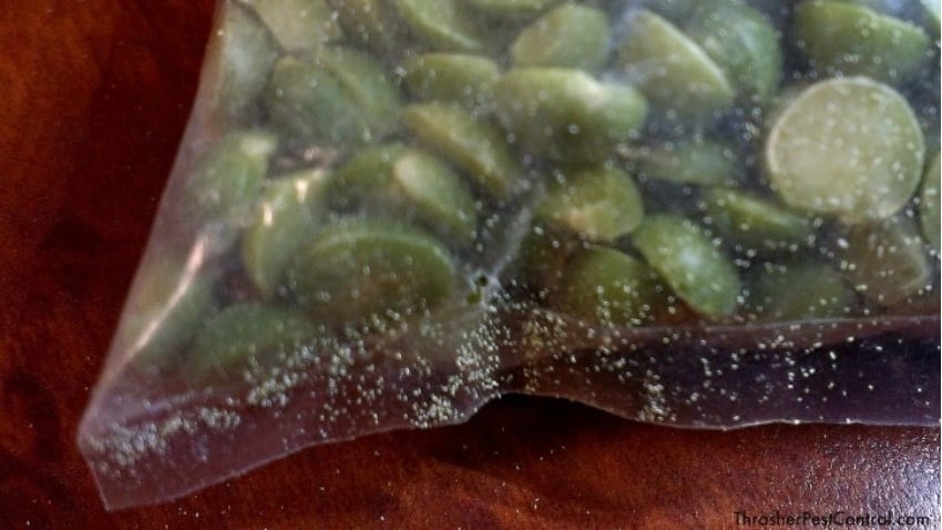 Pantry pest chew hole and frass in bag of split peas
