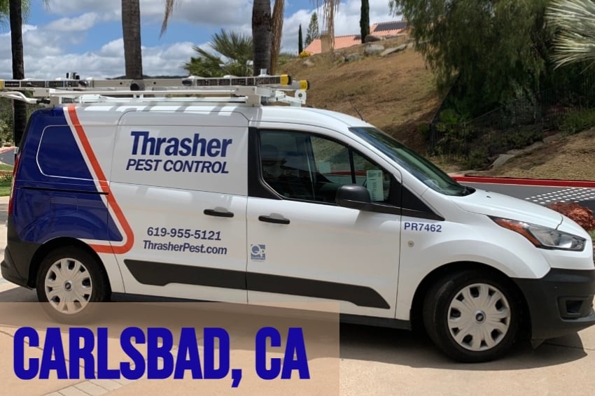 Carlsbad Thrasher Pest Control Service Vehicle