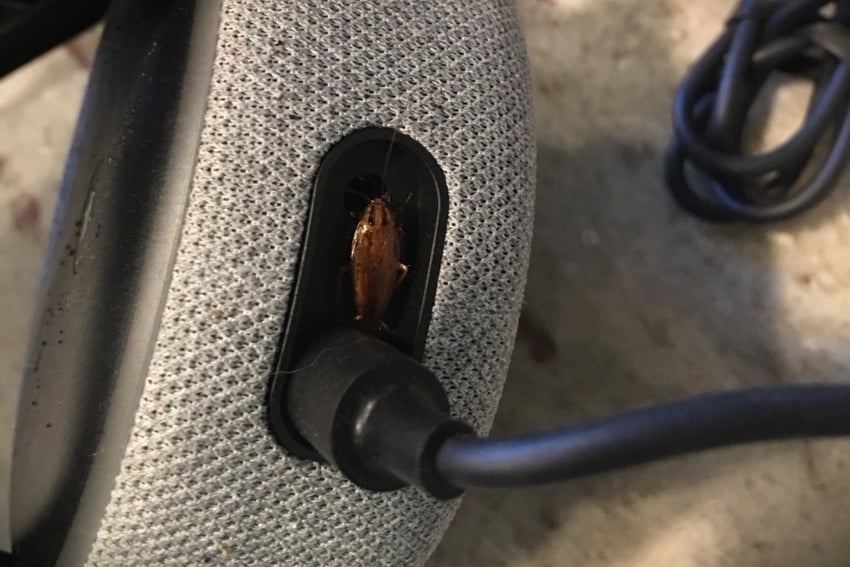 Cockroach_Thrasher_Pest_roaches-on-electronics