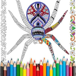 Spider_Coloring Page