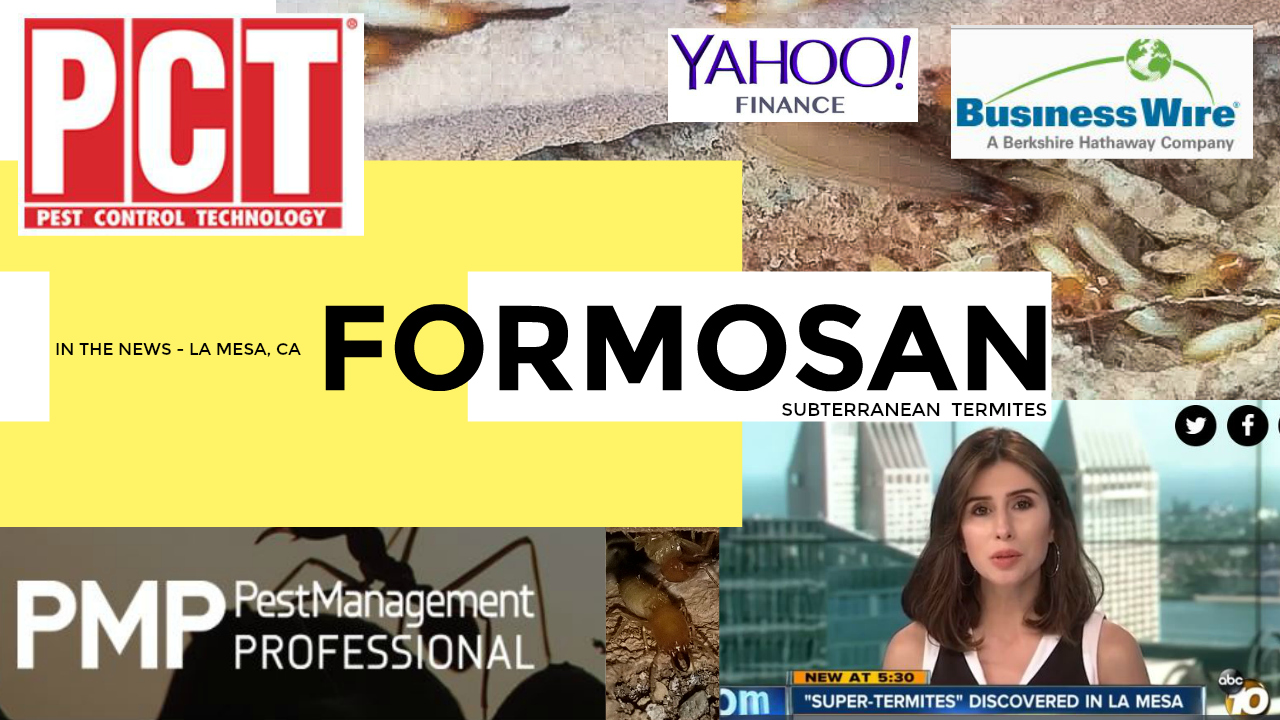 Formosan subterranean termites in the news