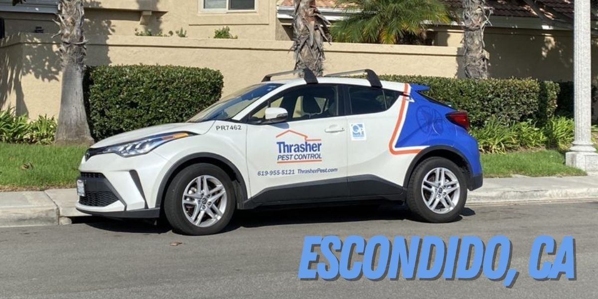 Pest Control in Escondido, CA - Thrasher Pest Control