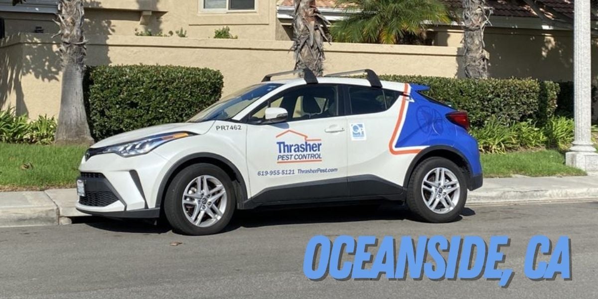 Pest Control in Oceanside, CA - Thrasher Pest Control