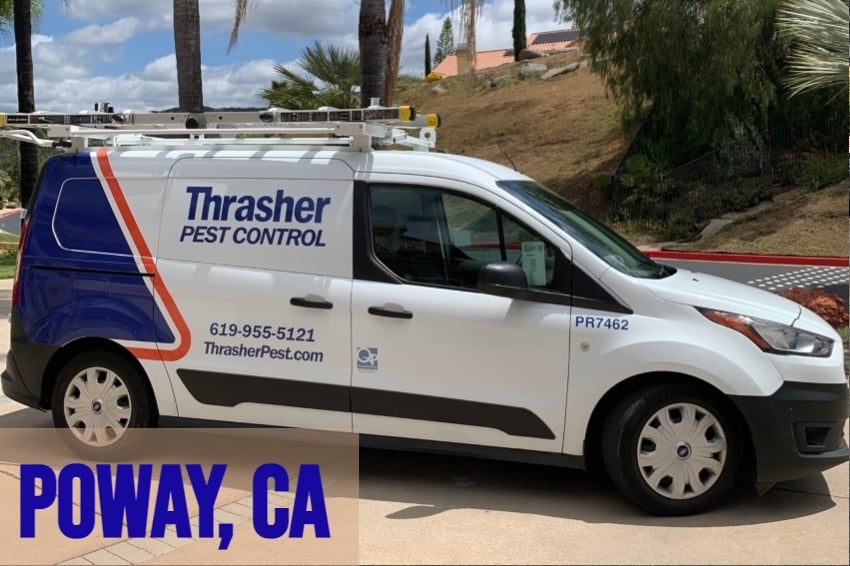 Poway Thrasher Pest Control Service Vehicle