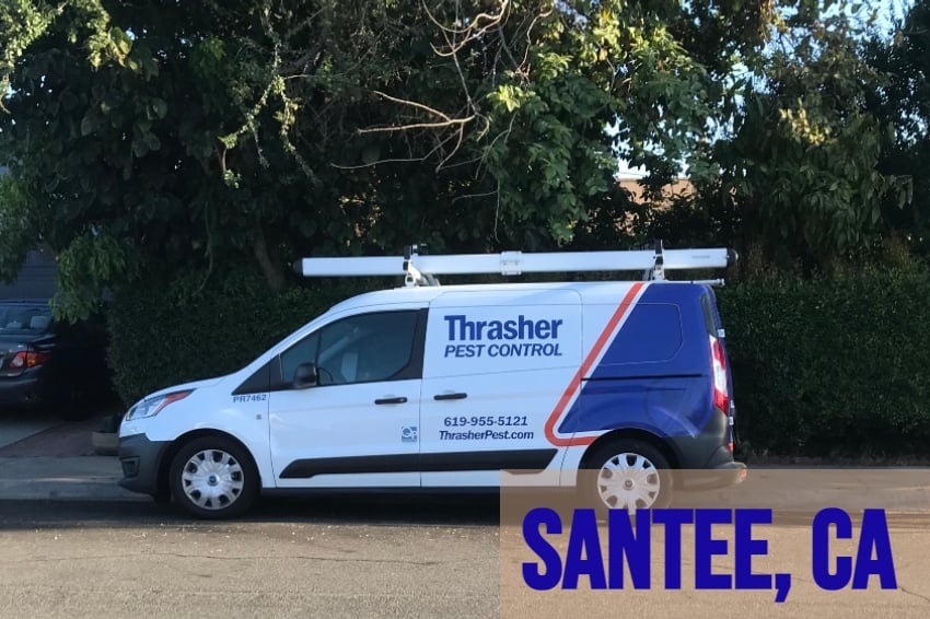 Santee Thrasher Pest Control Service Vehicle
