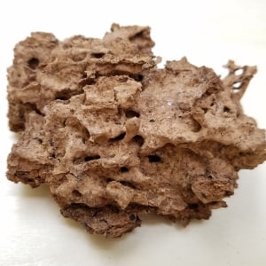 Formosan termite nesting material