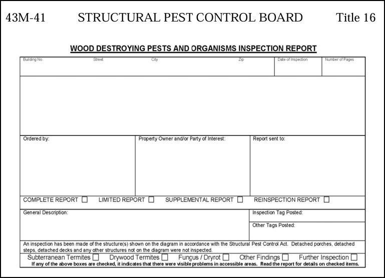 WDO Report Blank