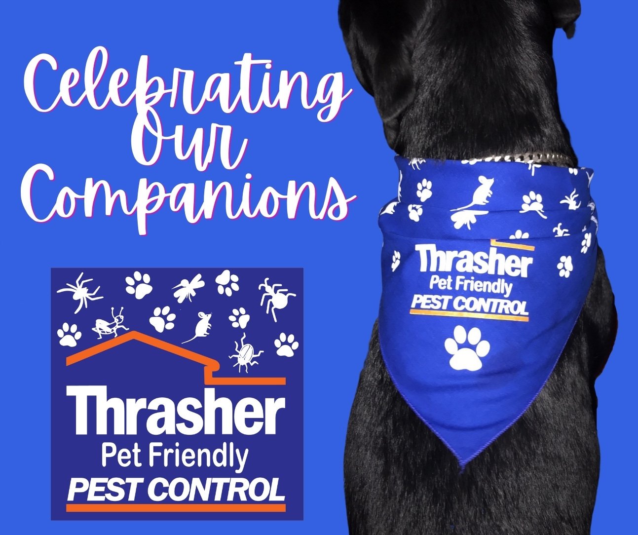 Thrasher_Pet_Friendly_Pet_Control_