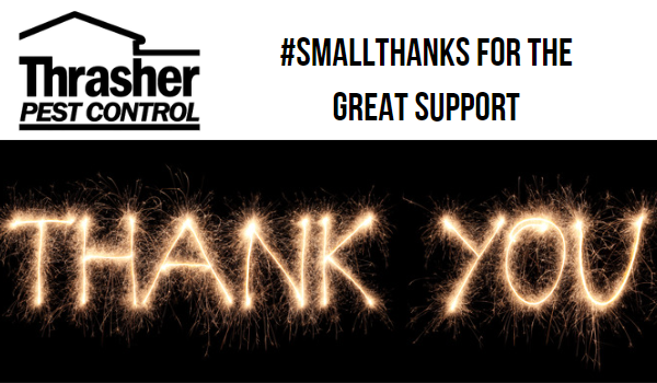 #SmallThanks for the Great Support