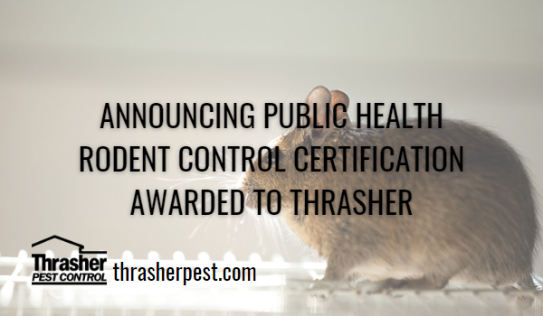 Announcing Publix Health Rodent Control Certification Award