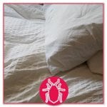 Bed Bug Button