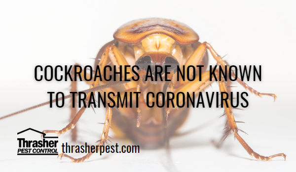 Cockroaches are NOT KNOWN TO Transmit Coronavirus