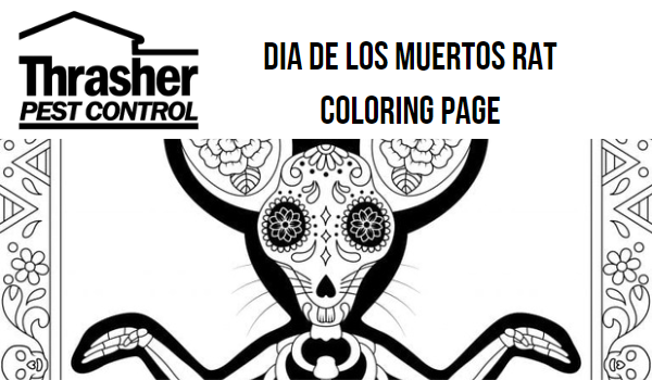 Dia de los Muertos Rat Coloring Page
