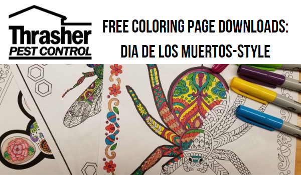 Free Coloring Page Downloads: Dia de los Muertos-style