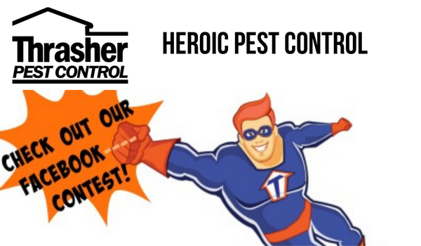 Heroic Pest Control