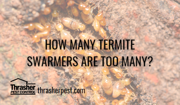 How Many Termite Swarmers are Too Many?