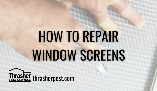 How to Repair Window Screens