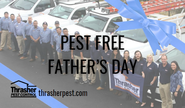Pest Free Father’s Day