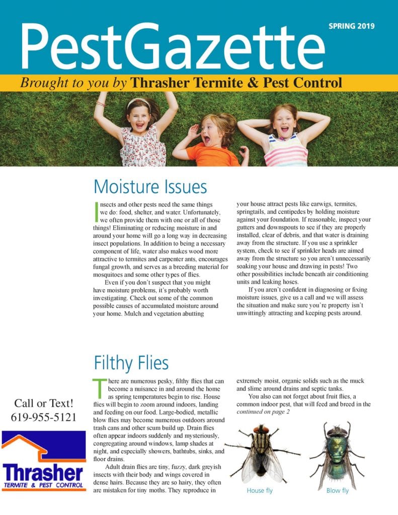 2019 Pest Gazette Page 1 - Moisture Issues and Filthy Flies