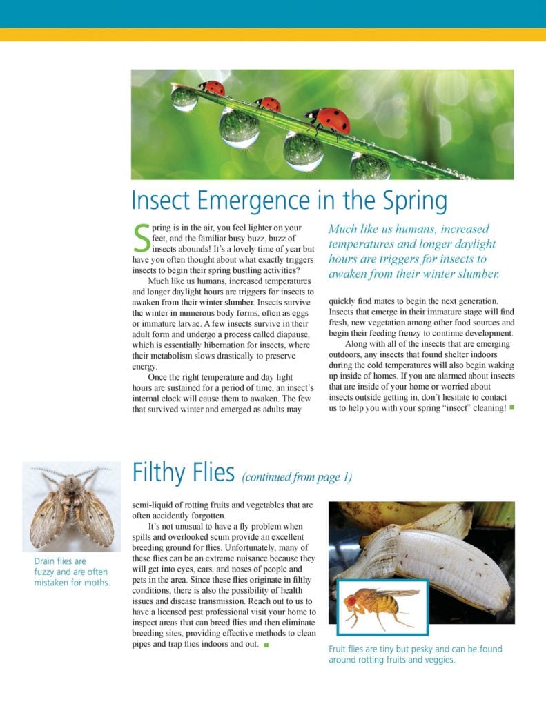 2019 Pest Gazette Page 2 - Spring Inscet Emergence and Filthy Flies