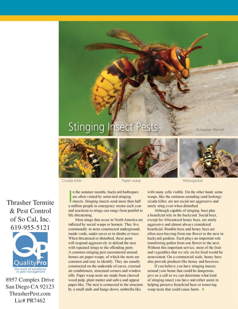 2019 Pest Gazette Page 4 - Stinging Insect Pests