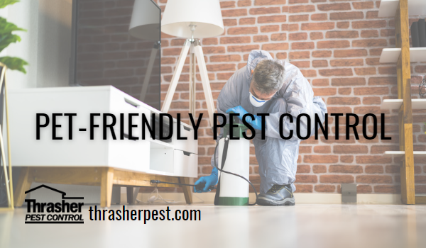 Pet-Friendly Pest Control