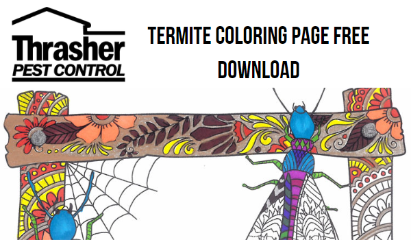 Termite Coloring Page Free Download