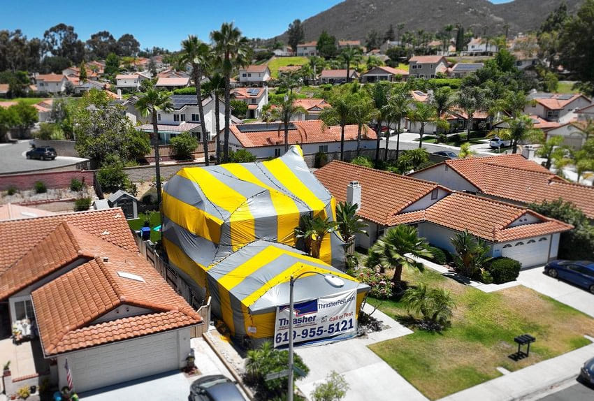 fumigation of home with tile roof.ws(1)