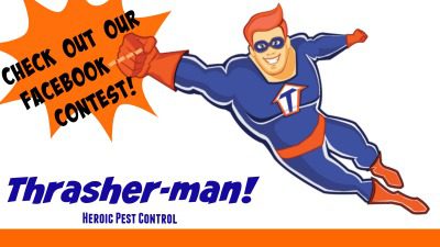 Heroic Pest Control Contest