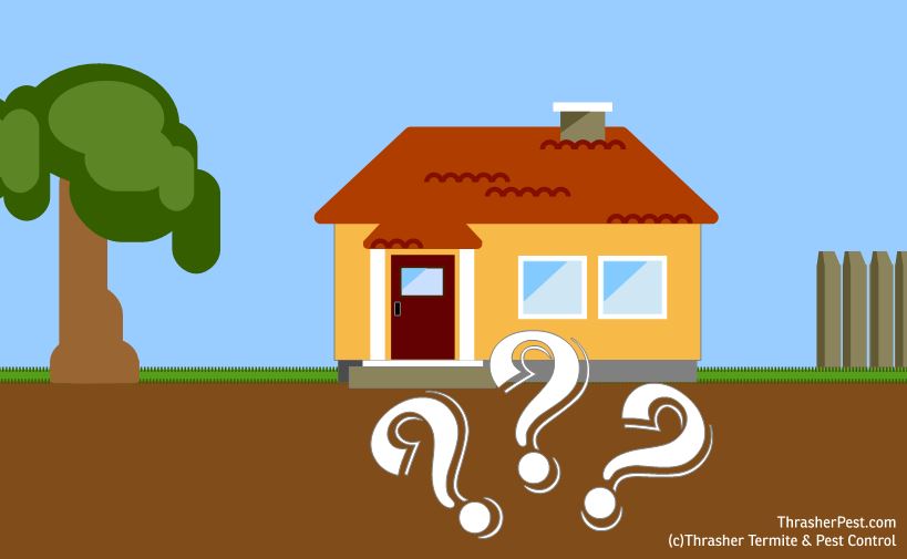 Formosan Termite Disclosure