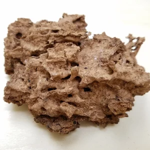 Formosan termite nesting material