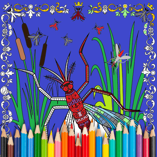 Mosquito_Coloring_Page