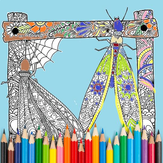 Termite_Coloring Page