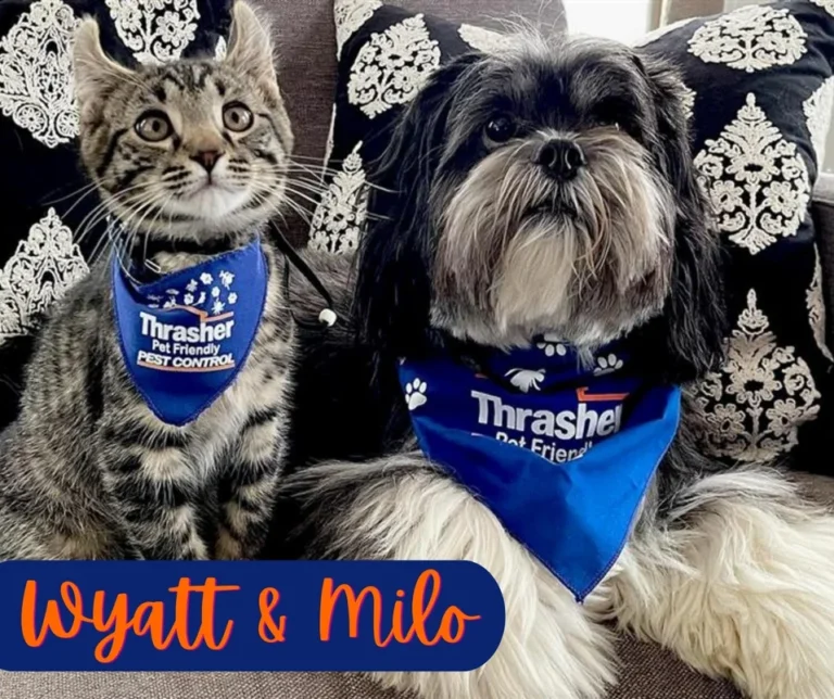 Thrasher_Pet_Friendly_Pet_Control_Wyatt_Milo
