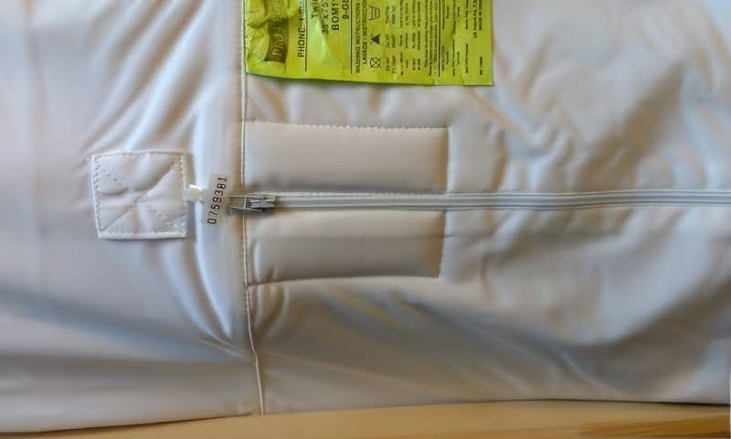 bed bug travel companion
