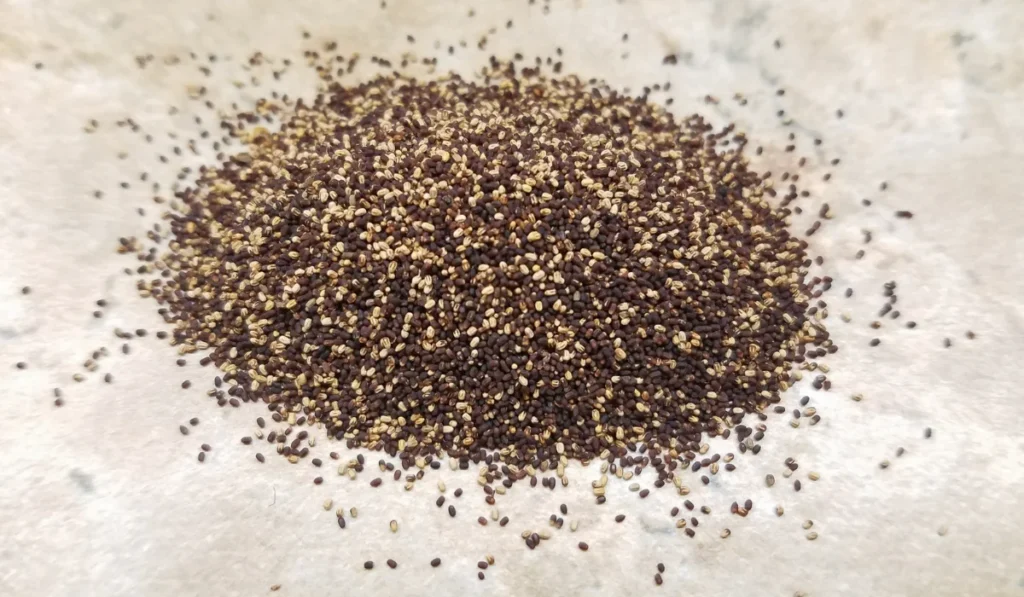 Drywood termite pellets